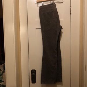 Loft corduroy bootcut Jean 31/12 olive